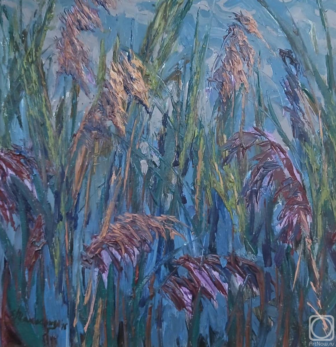 ������� ������ �� ������. �������� ���������. � �����