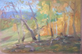 ������� ���� (������������� ����). ��������� ������