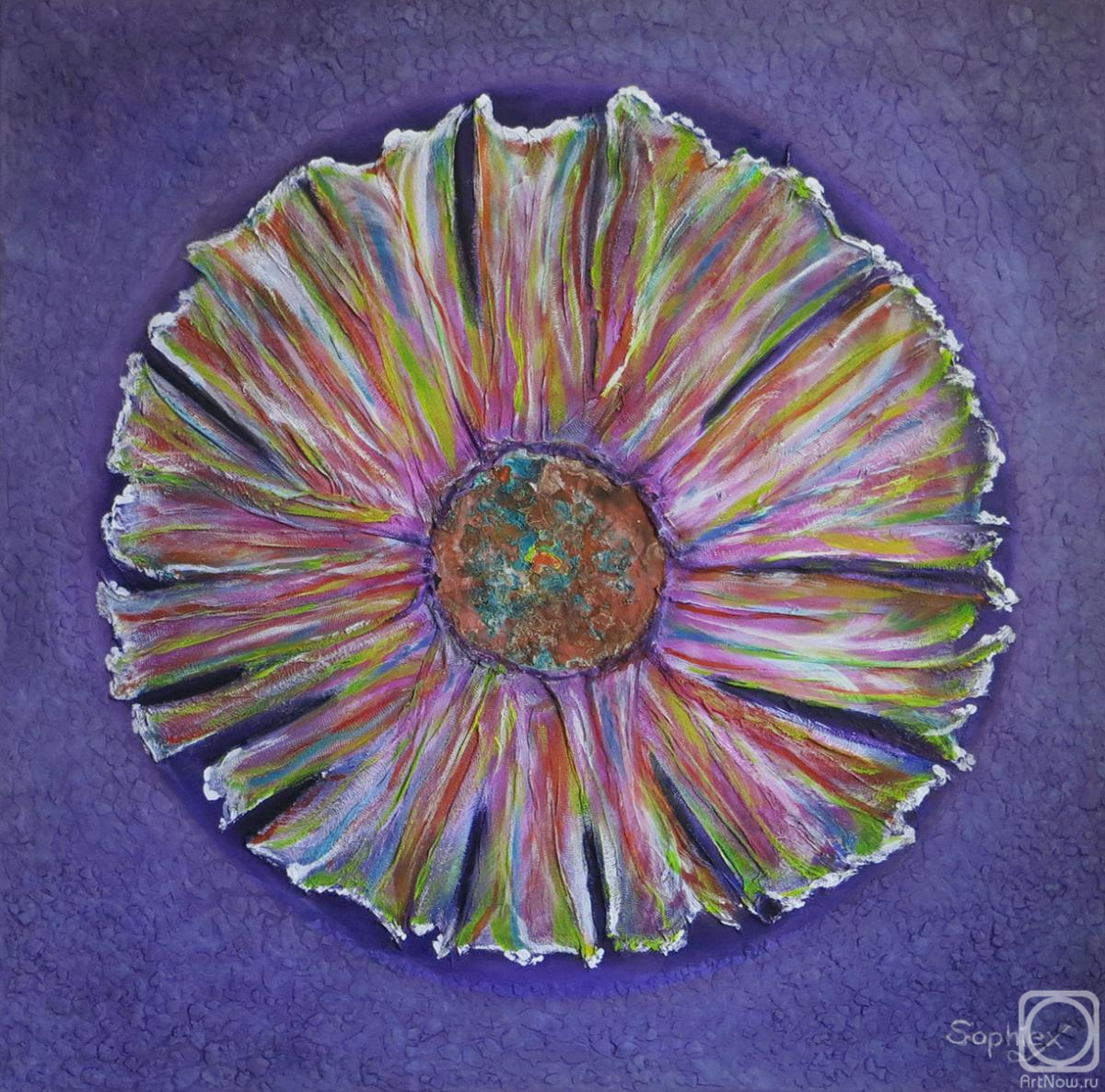 �������. ������ ���������. ���������� ����������