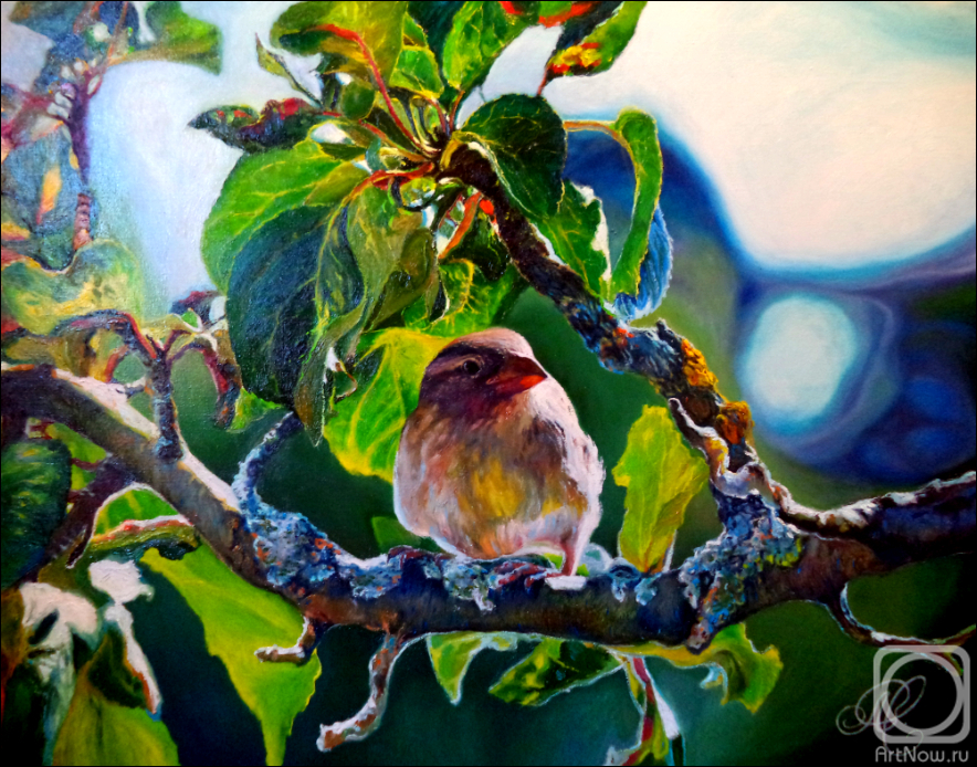 ������� ������ �� ������. ��������� ���������. ����������