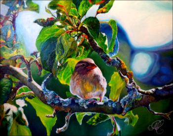 ������� �����������