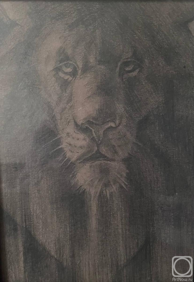 �������. �������� �����. ������