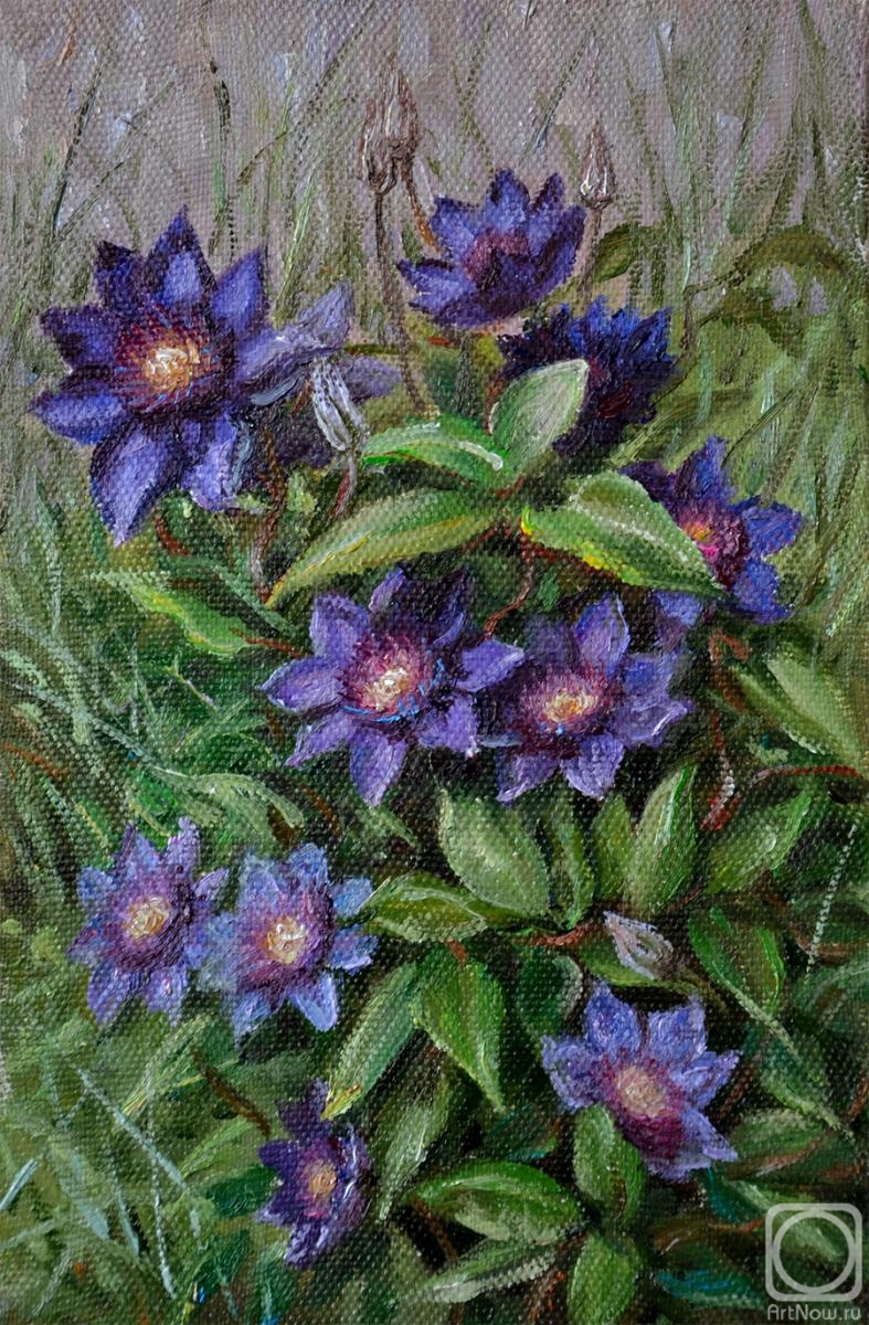 ������� ������ �� ������. ������� ����. ��������