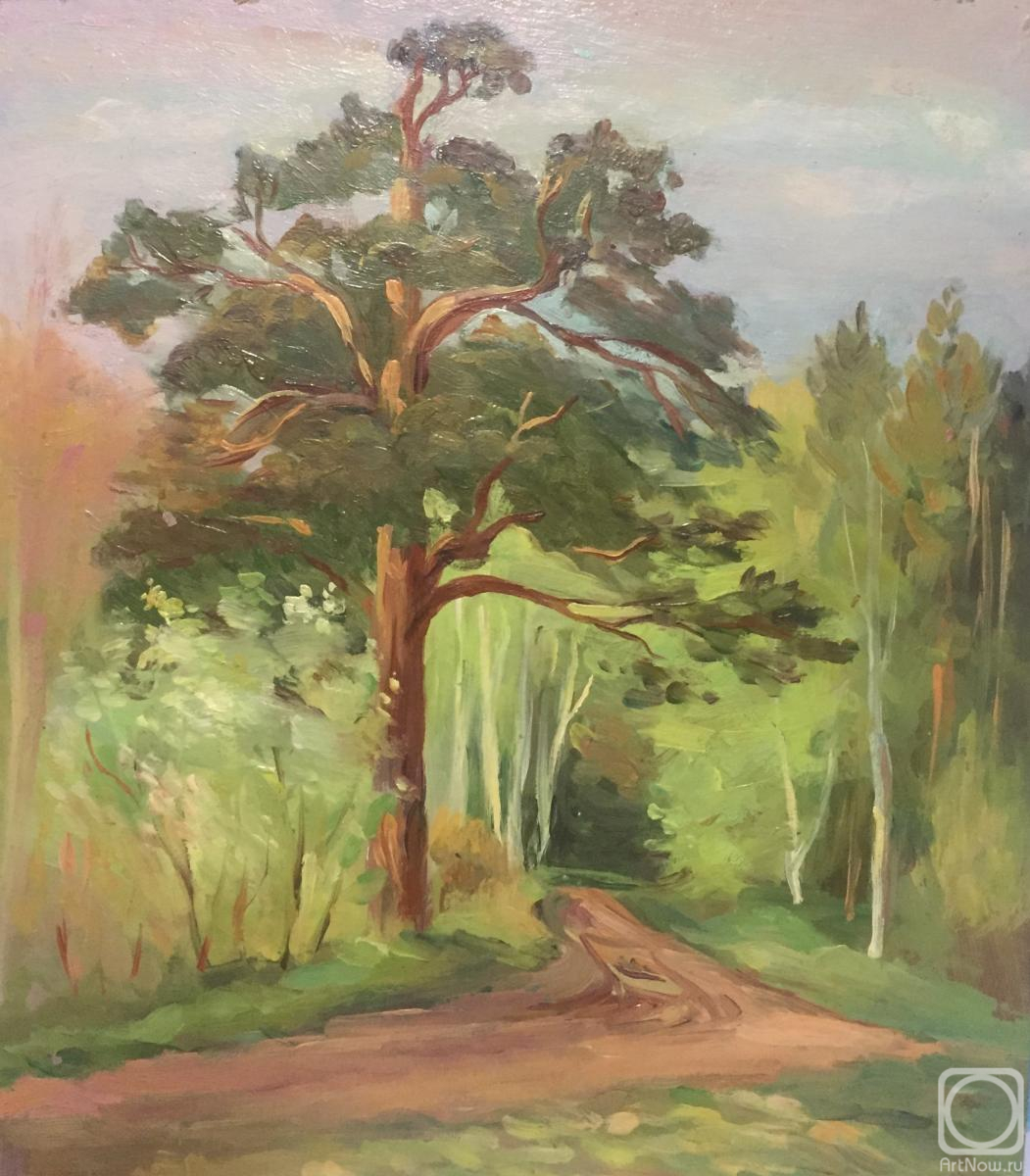 �������. ��������� ������. ����� � ������