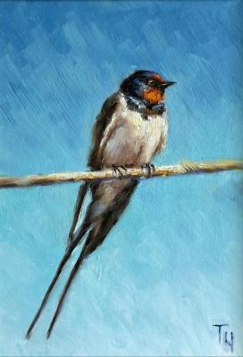 ������� ���������