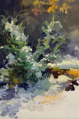 Juniper under snow. Tsurgan Olesya