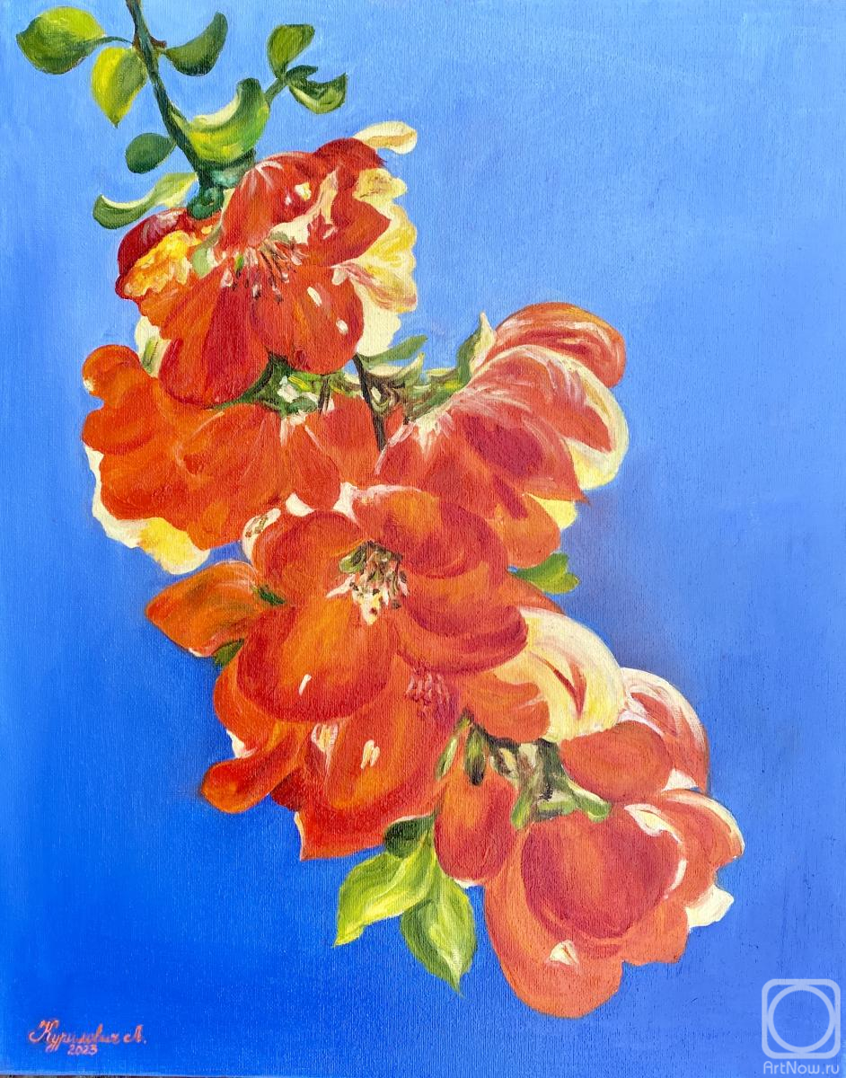 ������� ������ �� ������. ��������� �������. �������� ����