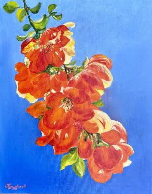 ������� ��������� ����