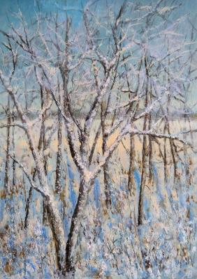 Snow, snow, snow� (Snowdrift). Abaimov Vladimir