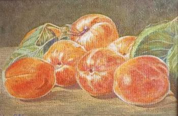 ������� ����������