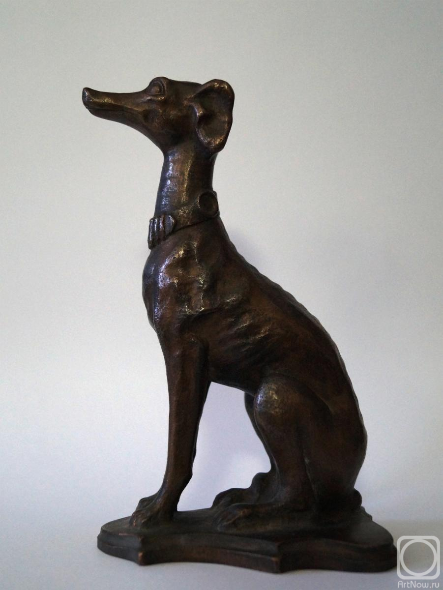 �������� �����. ��������