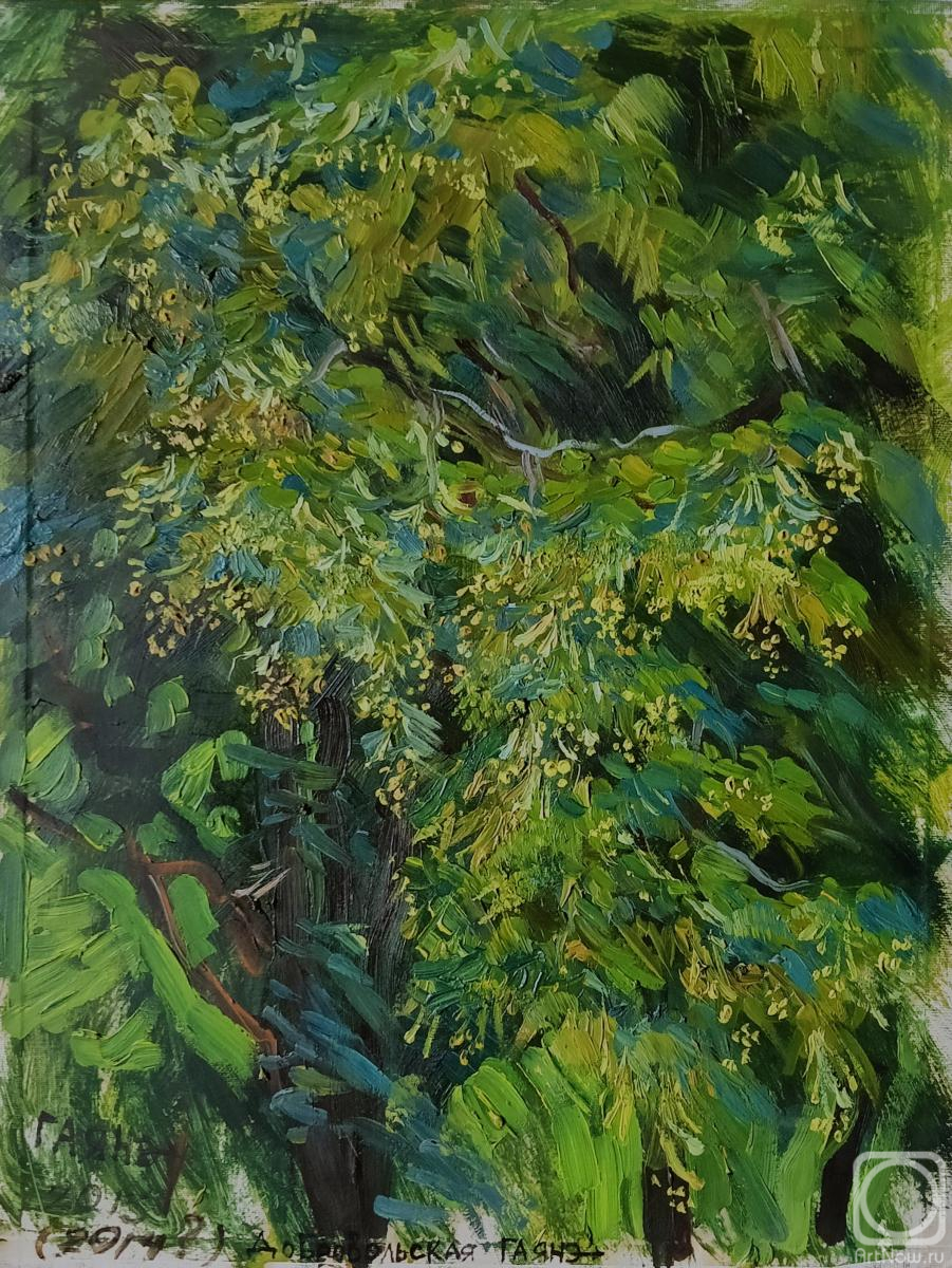 �������. ������������� �����. �������� ����, ���� - 2