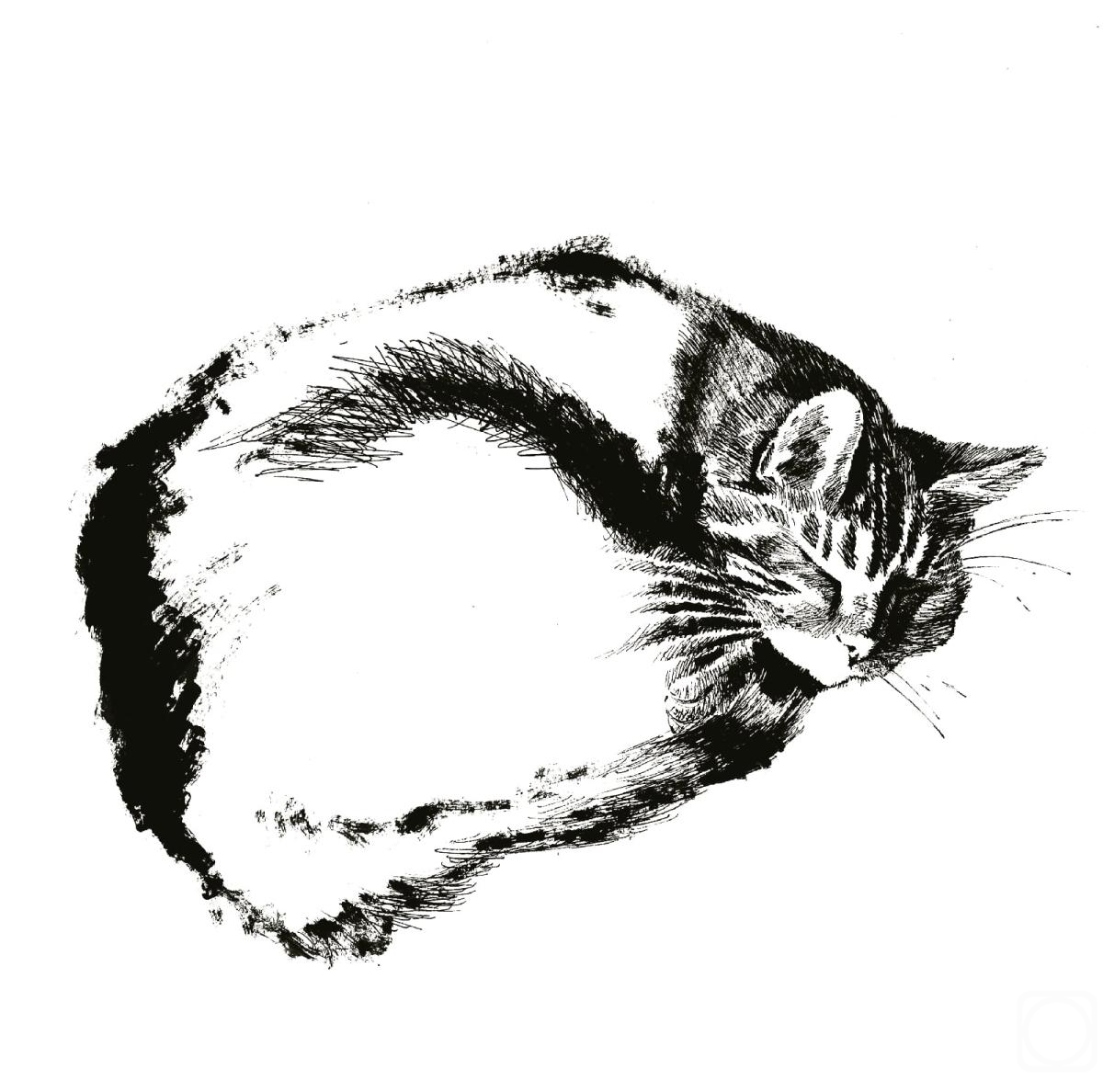 �������. �������� ���. ������� ���