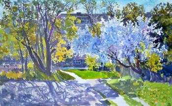 ���. �������� �������