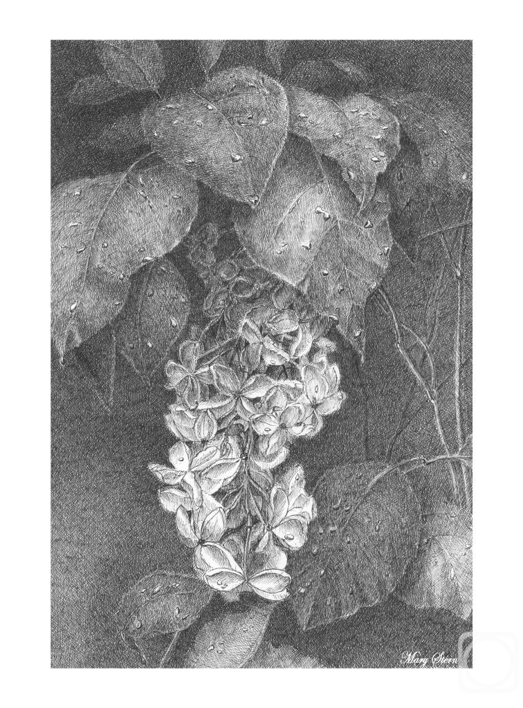 �������. ����������� ������. ����� ������