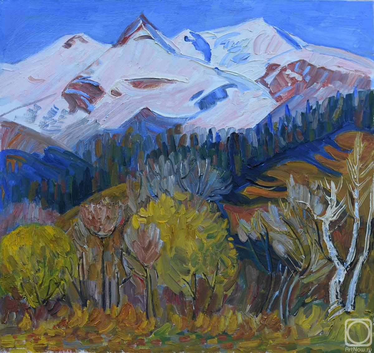 Manakyan Aleksandr. Mount Oshten