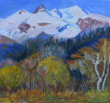 ���� �����. �������� ���������