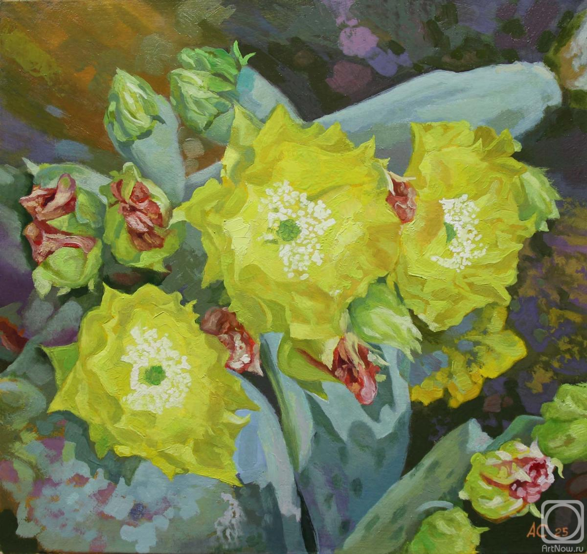 Samokhvalov Alexander. Prickly pear