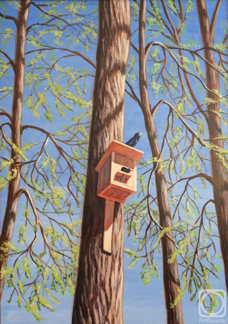 �������. �������� �����. ����� ���, ����� ������