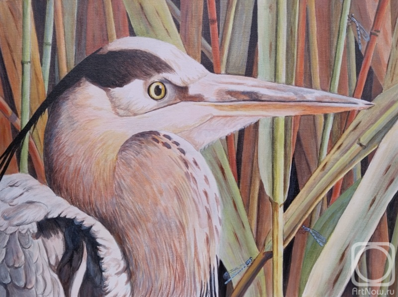 �������. �������� �����. �������� �����