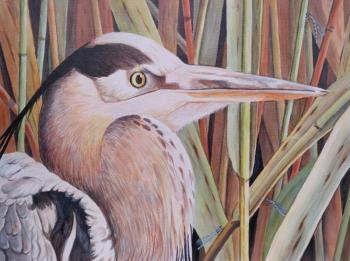 �������� �����. �������� �����