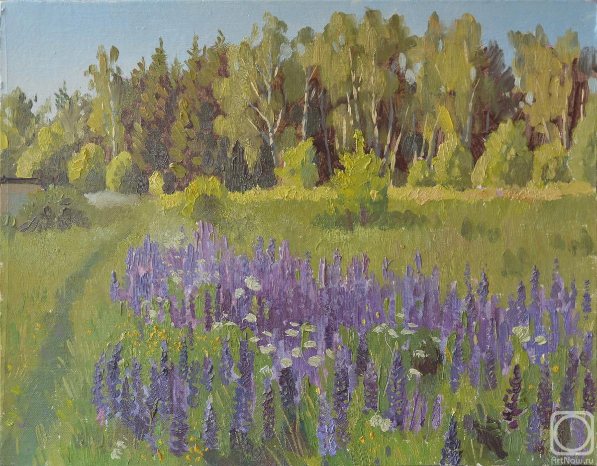 �������. ���������� �����. ���������� ���������� (����)