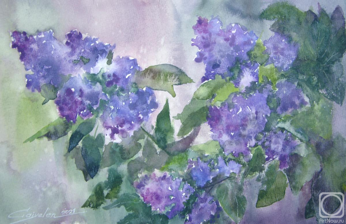 �������. ������������ �����. ������ � ������