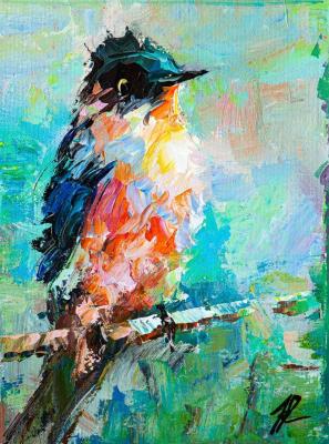 Robin in the Morning Light. Rodries Jose