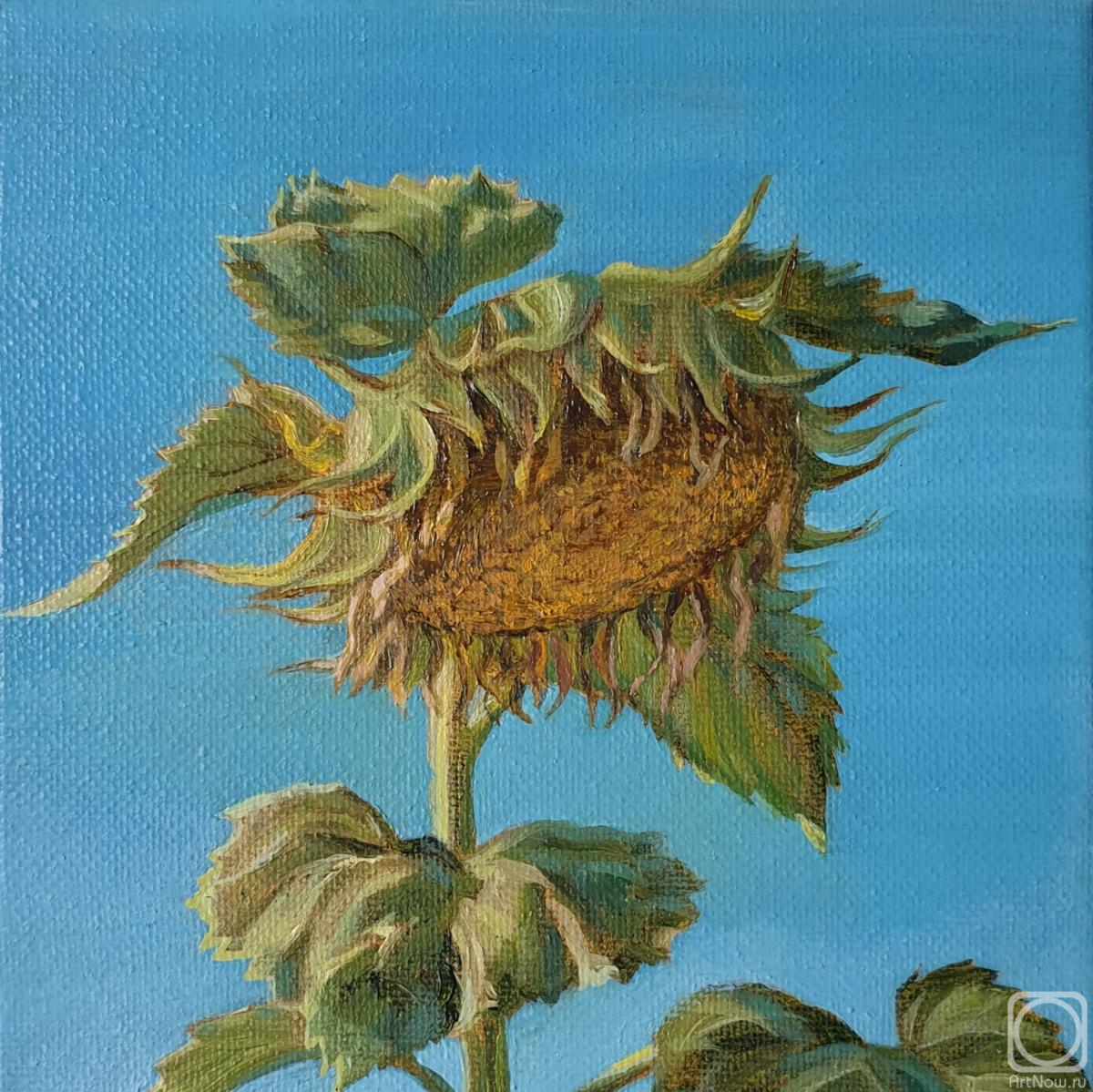 ������� ������ �� ������. ������� ������. ���������