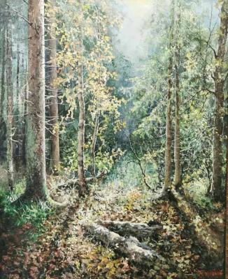 ������� ���������� ������� �����