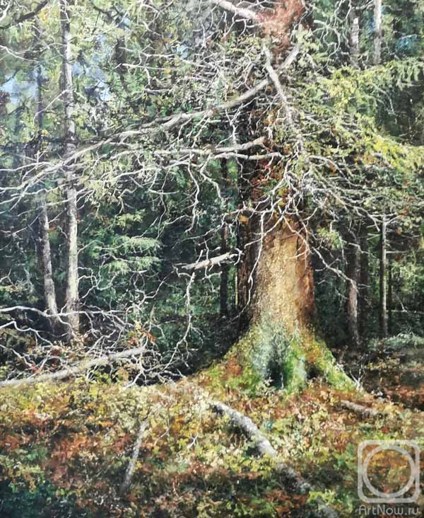 ������� ������ �� ������. �������� �������. � ������ ����