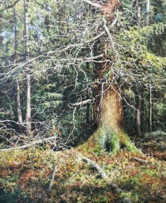 ������� �� ������ ����