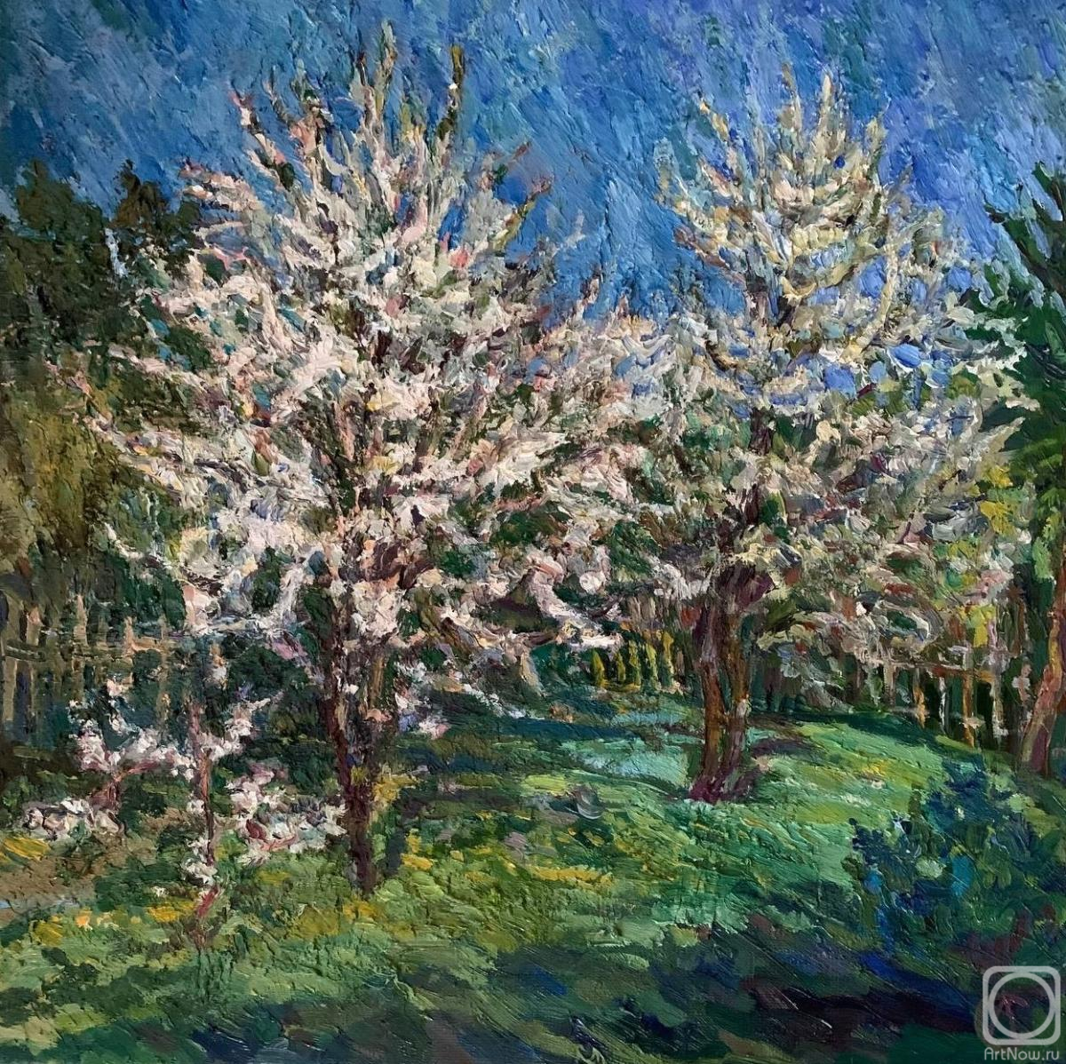 ������� ������ �� ������. ��������� ��������. ����� ������