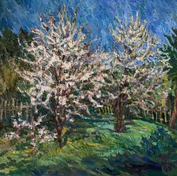 ����� ������. ��������� ��������