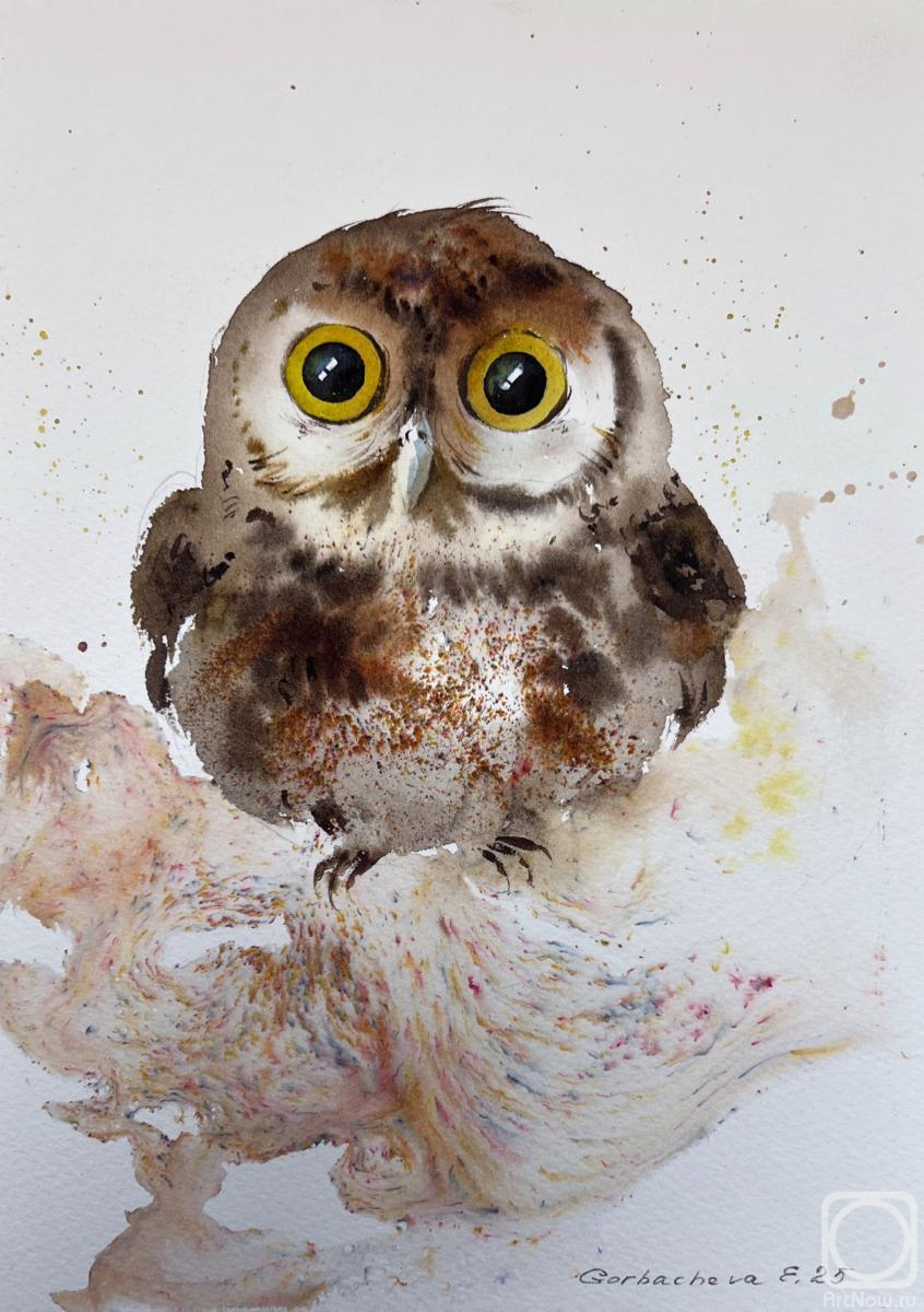 �������. ��������� �������. ���� � �������� �������