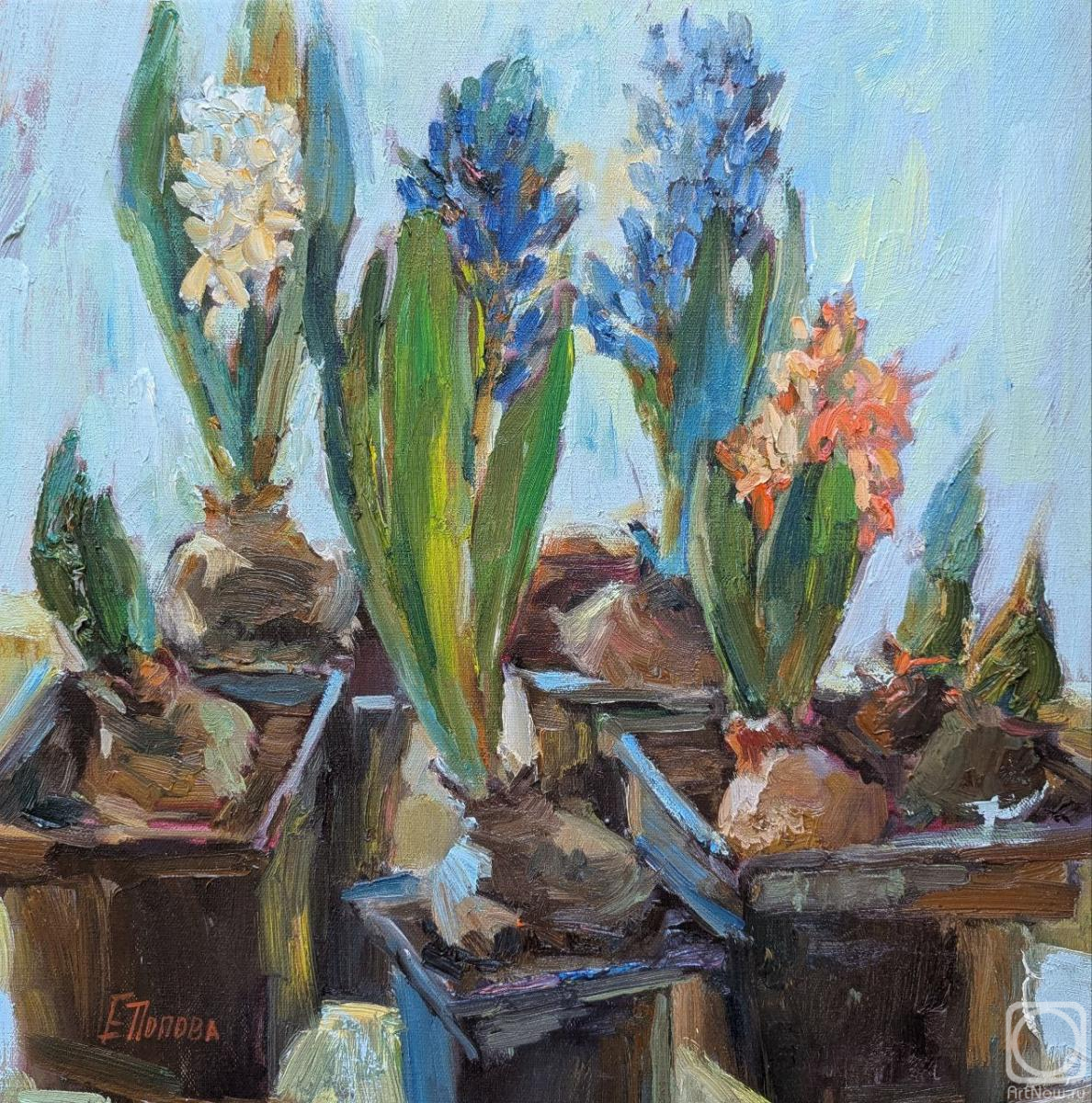 ������� ������ �� ������. ������ ���������. �����