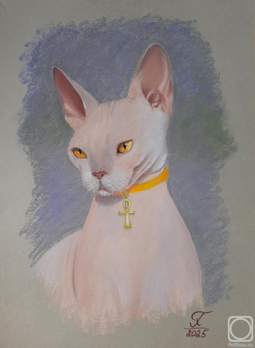 �������. ������� �������. ���� ������