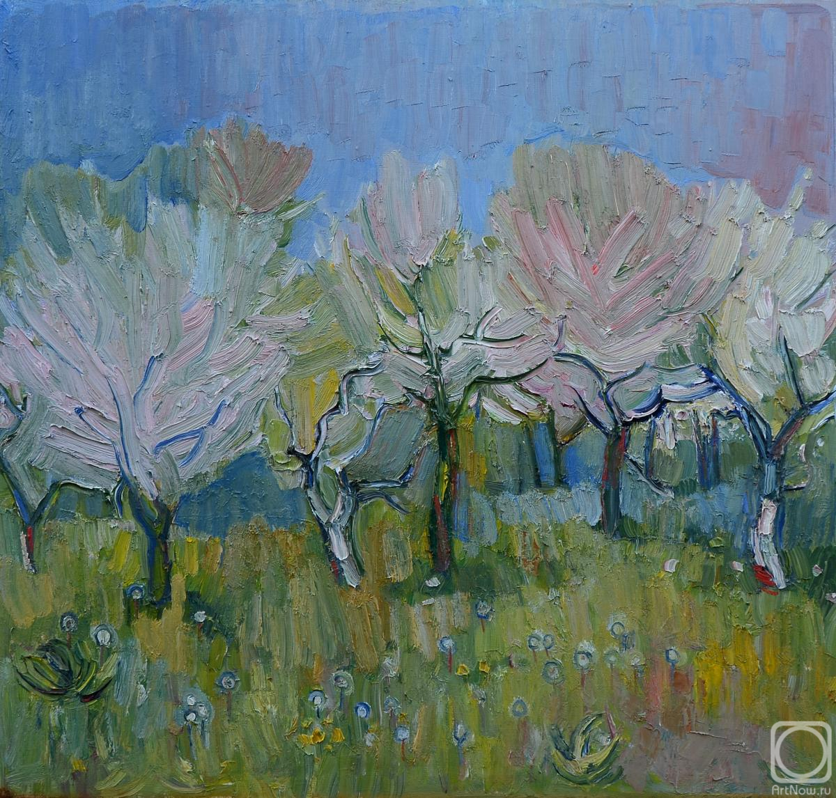 Manakyan Aleksandr. A blooming garden