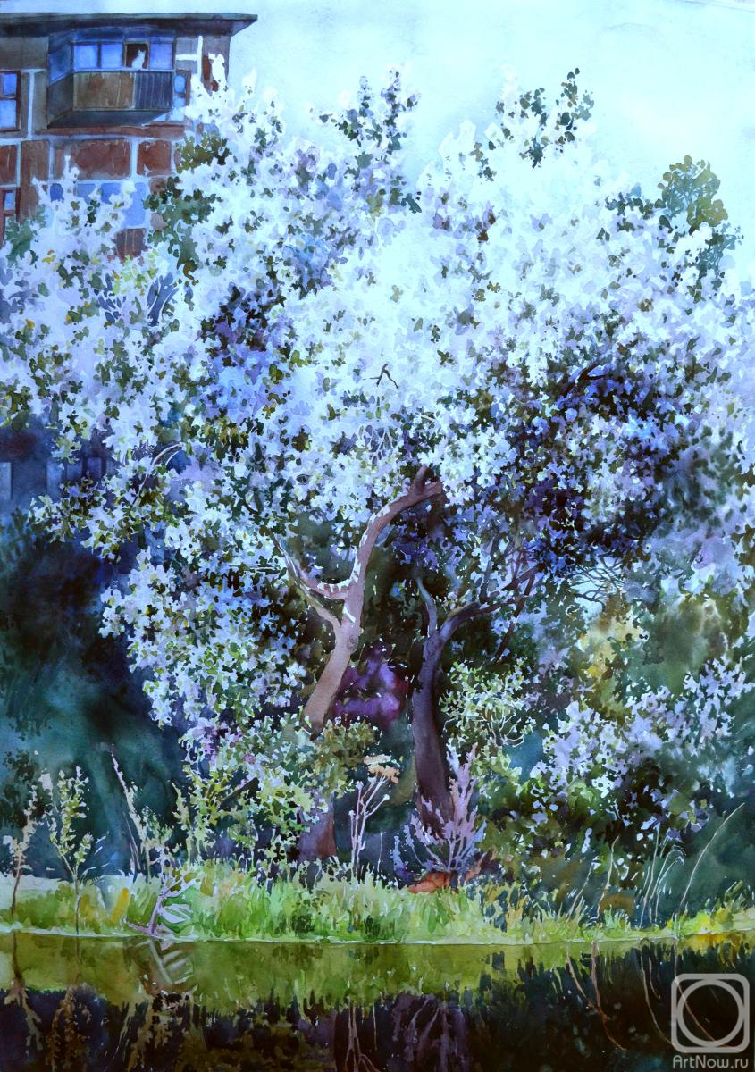 �������. �������� �������. ������ � �����