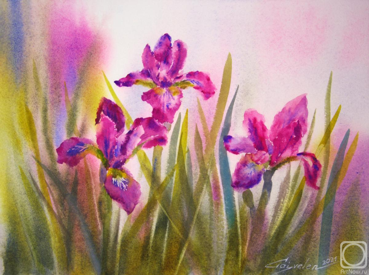 �������. ������������ �����. �����