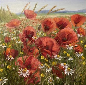 Poppies