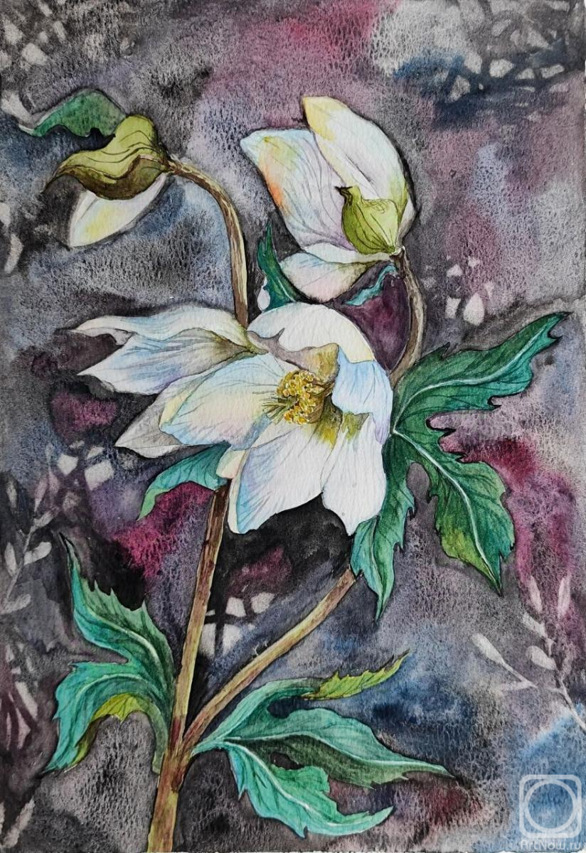 �������. ������ �������. ����� ��������