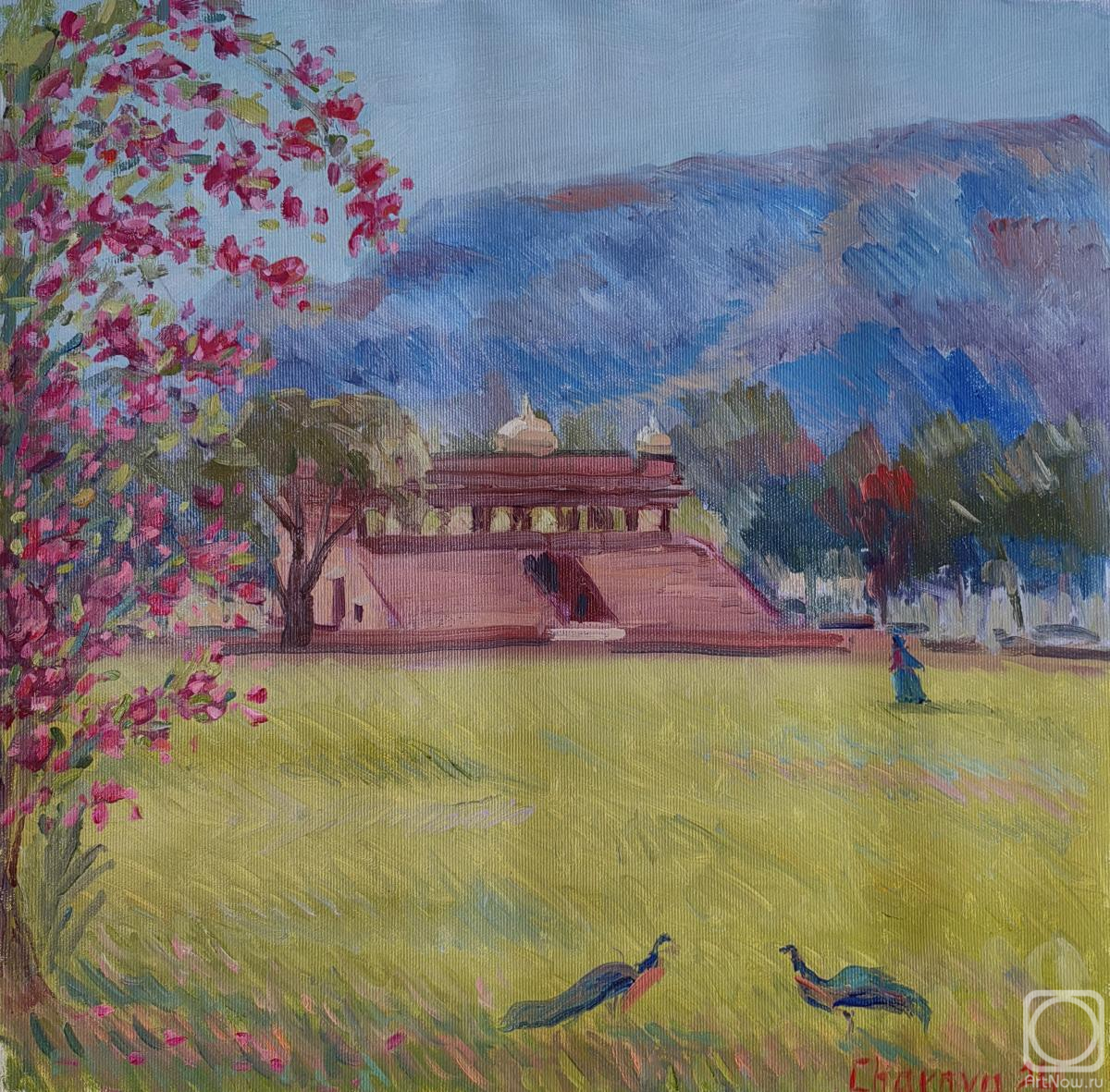 ������� ������ �� ������. ������ ������. �����. ������, �����