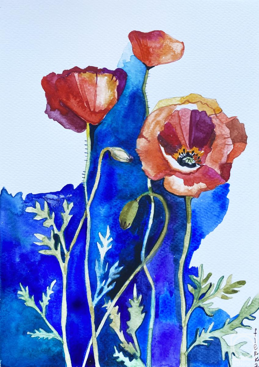 �������. ������� �����. ������� ����