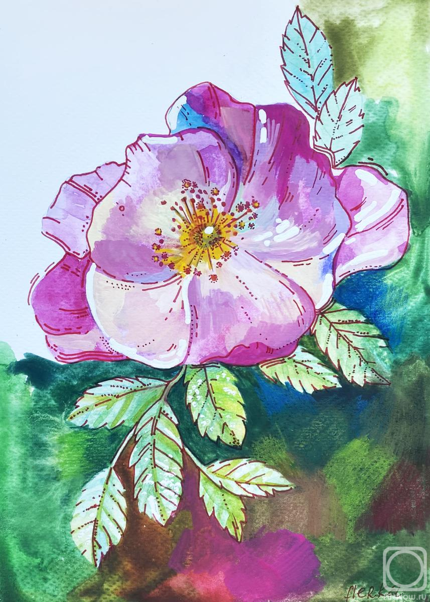 �������. ������� �����. �������� �������