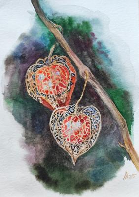 �������. ������ �������