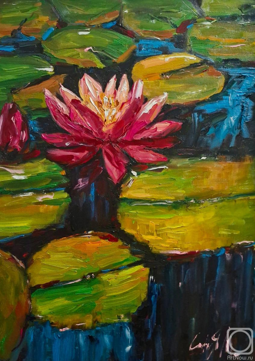 ������� ������ �� ������. ��������� �����. ��������