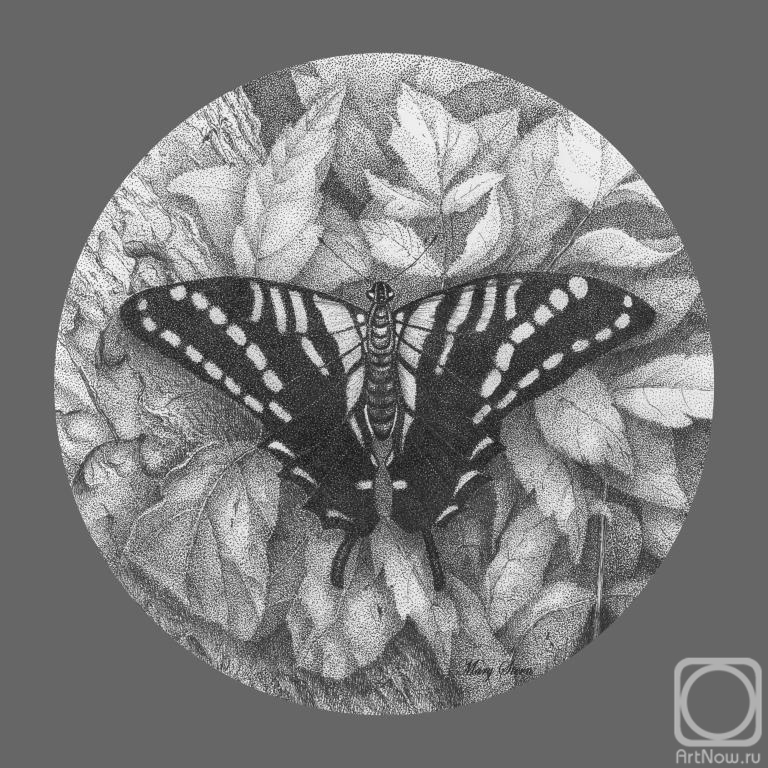 �������. ����������� ������. ������