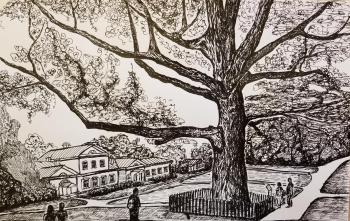 Untitled. Fedorova Nataliya