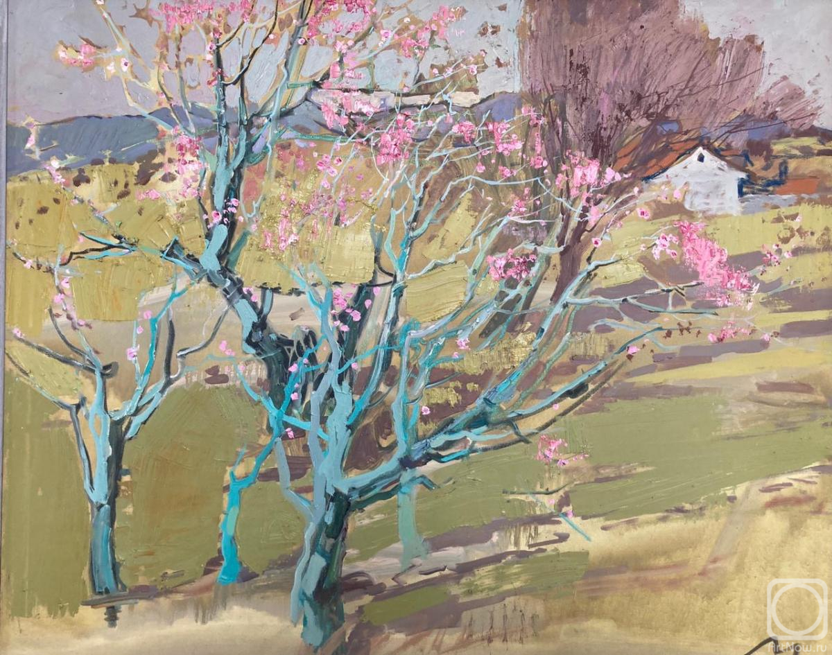 ������� ������ �� ������. ���������-�������� �����. ���������� ��� � ����������